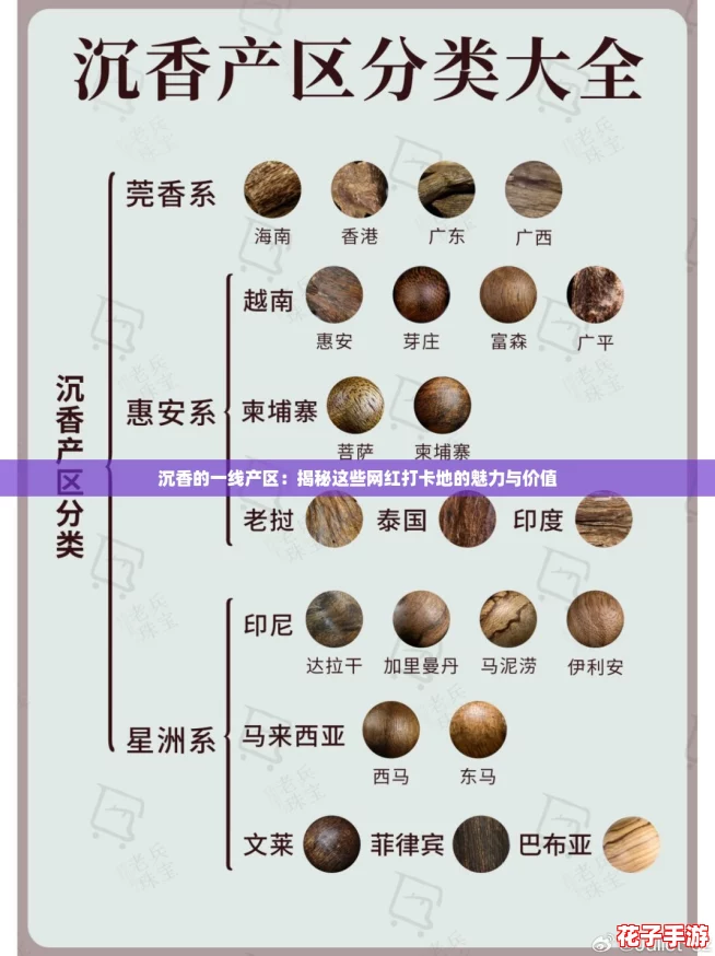 沉香的一线产区：揭秘这些网红打卡地的魅力与价值