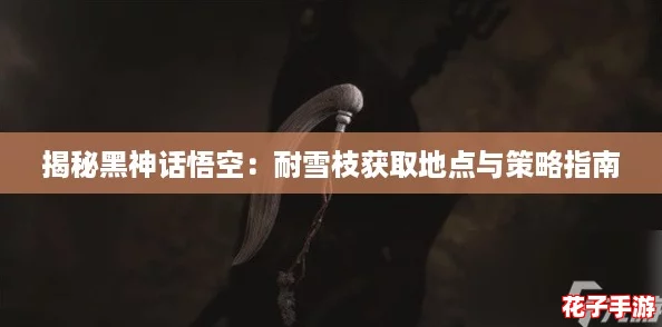 揭秘黑神话悟空：耐雪枝获取地点与策略指南