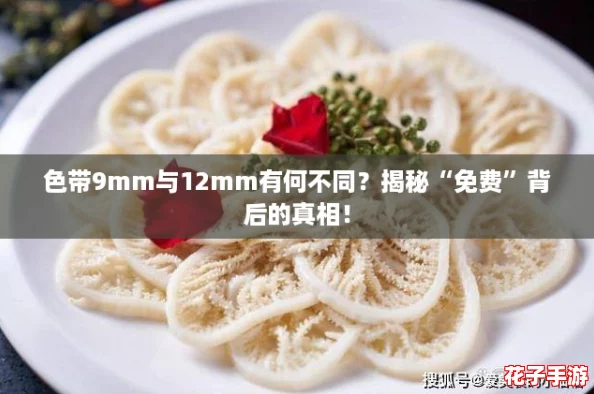 色带9mm与12mm有何不同？揭秘“免费”背后的真相！