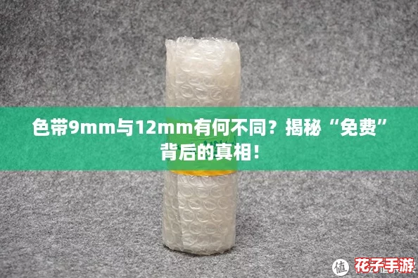 色带9mm与12mm有何不同？揭秘“免费”背后的真相！