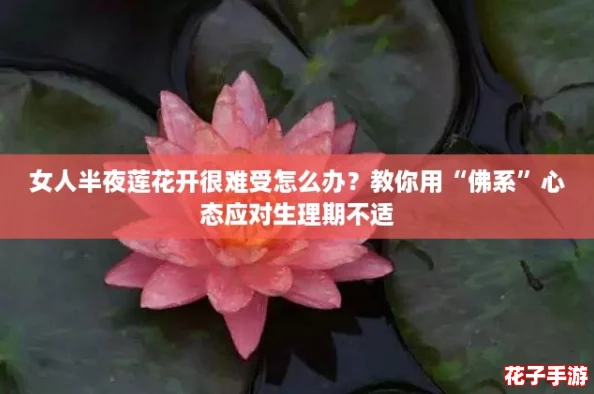 女人半夜莲花开很难受怎么办?教你用“佛系”心态应对生理期不适 女人半夜莲花开很难受怎么办?教你用“佛系”心态应对生理期不适