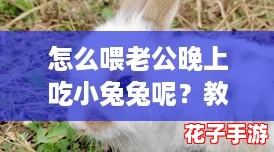 怎么喂老公晚上吃小兔兔呢？教你用“内卷”方式提升晚餐质量！