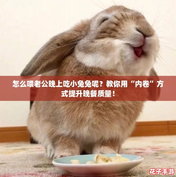 怎么喂老公晚上吃小兔兔呢？教你用“内卷”方式提升晚餐质量！