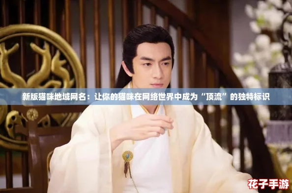 新版猫咪地域网名：让你的猫咪在网络世界中成为“顶流”的独特标识