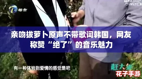 亲吻拔萝卜原声不带歌词韩国，网友称赞“绝了”的音乐魅力