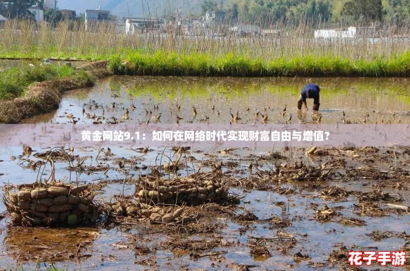 黄金网站9.1：如何在网络时代实现财富自由与增值？