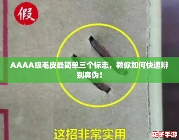 AAAA级毛皮最简单三个标志，教你如何快速辨别真伪！
