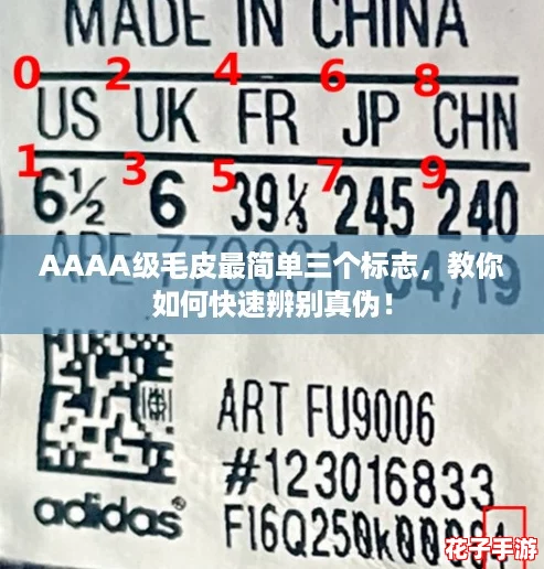 AAAA级毛皮最简单三个标志，教你如何快速辨别真伪！