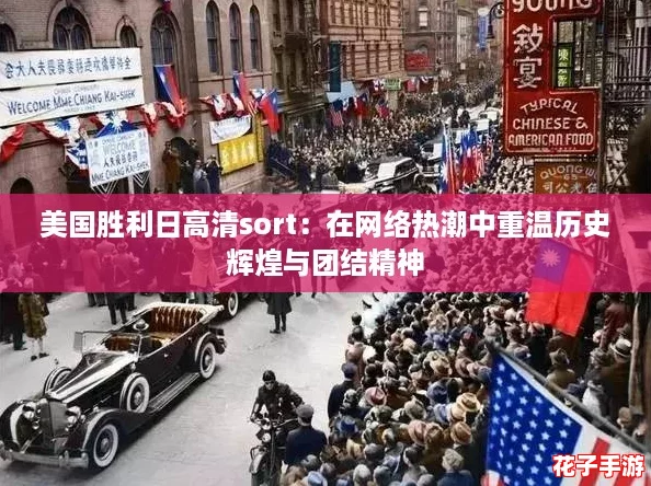 美国胜利日高清sort：在网络热潮中重温历史辉煌与团结精神