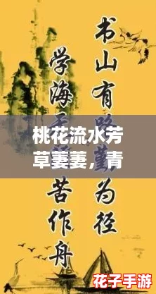桃花流水芳草萋萋,青春热血与梦同行的岁月故事 桃花流水芳草萋萋,青春热血与梦同行的岁月故事