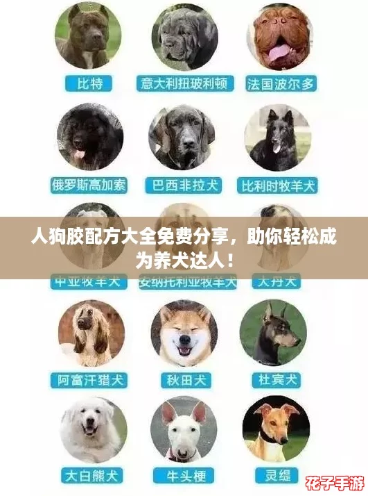 人狗胶配方大全免费分享，助你轻松成为养犬达人！
