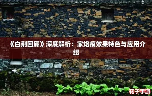 《白荆回廊》深度解析：家烙痕效果特色与应用介绍
