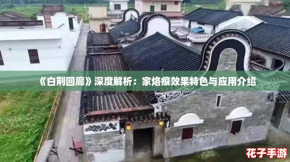 《白荆回廊》深度解析：家烙痕效果特色与应用介绍
