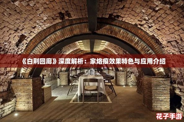 《白荆回廊》深度解析：家烙痕效果特色与应用介绍