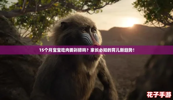 15个月宝宝吃肉要剁碎吗？家长必知的育儿新趋势！
