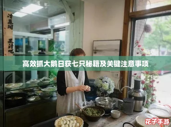 高效抓大鹅日获七只秘籍及关键注意事项 高效抓大鹅日获七只秘籍及关键注意事项