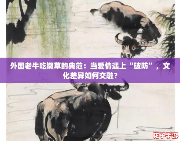 外国老牛吃嫩草的典范：当爱情遇上“破防”，文化差异如何交融？