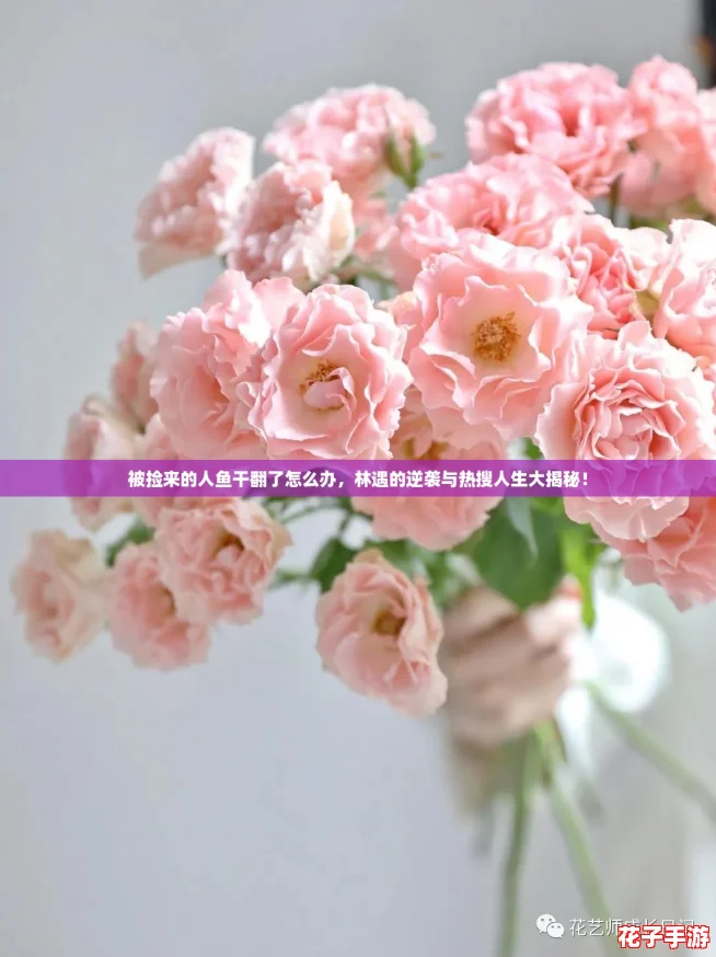 被捡来的人鱼干翻了怎么办，林遇的逆袭与热搜人生大揭秘！