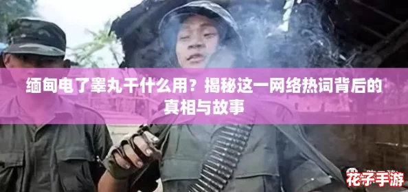 缅甸电了睾丸干什么用？揭秘这一网络热词背后的真相与故事