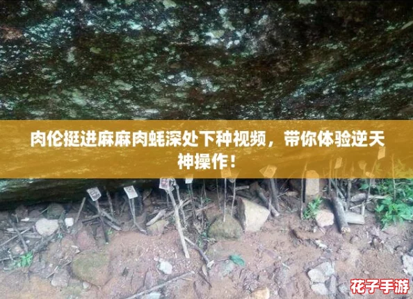肉伦挺进麻麻肉蚝深处下种视频，带你体验逆天神操作！