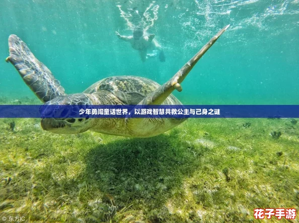 少年勇闯童话世界，以游戏智慧共救公主与己身之谜