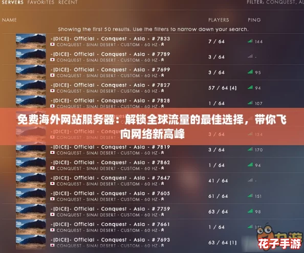 免费海外网站服务器：解锁全球流量的最佳选择，带你飞向网络新高峰
