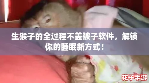生猴子的全过程不盖被子软件，解锁你的睡眠新方式！