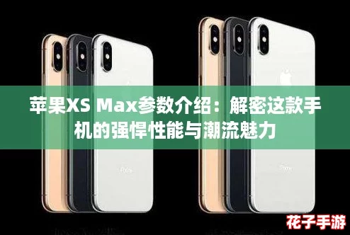 苹果XS Max参数介绍：解密这款手机的强悍性能与潮流魅力