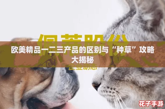 欧美精品一二三产品的区别与“种草”攻略大揭秘 欧美精品一二三产品的区别与“种草”攻略大揭秘