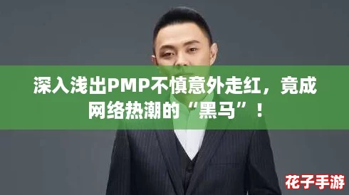 深入浅出PMP不慎意外走红，竟成网络热潮的“黑马”！