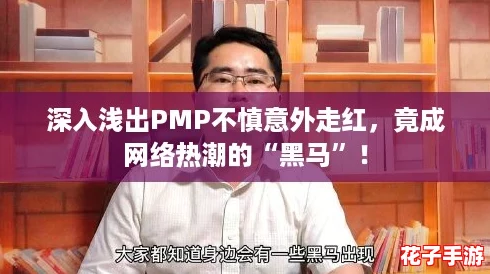 深入浅出PMP不慎意外走红,竟成网络热潮的“黑马”! 深入浅出PMP不慎意外走红,竟成网络热潮的“黑马”!