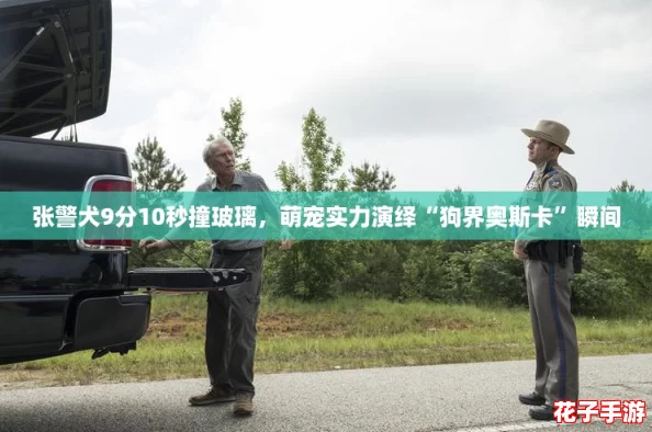 张警犬9分10秒撞玻璃，萌宠实力演绎“狗界奥斯卡”瞬间