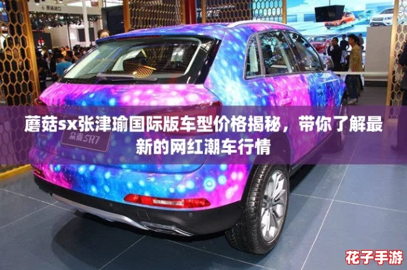 蘑菇sx张津瑜国际版车型价格揭秘，带你了解最新的网红潮车行情