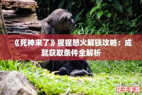 《死神来了》猩猩怒火解锁攻略：成就获取条件全解析