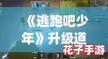 《逃跑吧少年》升级道具卡策略，塑造游戏顶尖高手之路