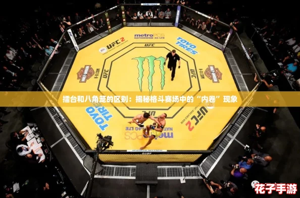 擂台和八角笼的区别：揭秘格斗赛场中的“内卷”现象