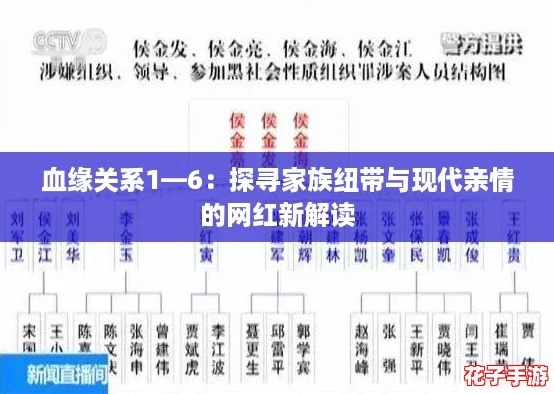血缘关系1—6：探寻家族纽带与现代亲情的网红新解读