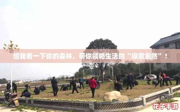 给我看一下你的森林，带你领略生活的“绿意盎然”！