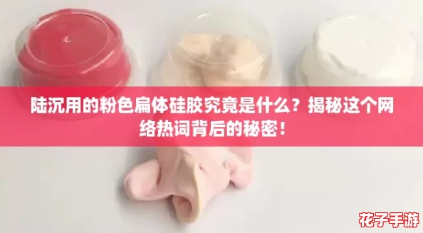 陆沉用的粉色扁体硅胶究竟是什么？揭秘这个网络热词背后的秘密！