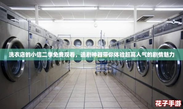 洗衣店的小信二季免费观看，追剧神器带你体验超高人气的剧情魅力