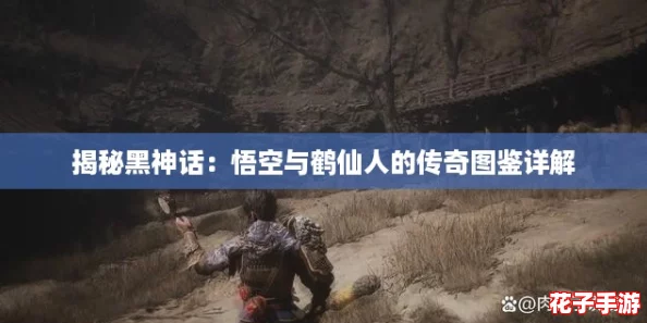 揭秘黑神话：悟空与鹤仙人的传奇图鉴详解