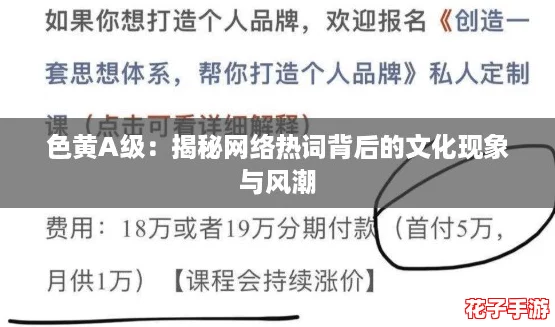 色黄A级:揭秘网络热词背后的文化现象与风潮 色黄A级:揭秘网络热词背后的文化现象与风潮