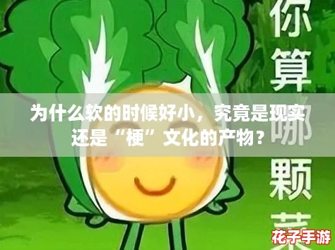为什么软的时候好小，究竟是现实还是“梗”文化的产物？
