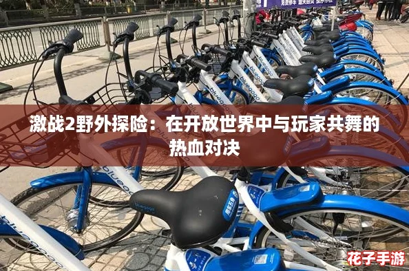 激战2野外探险：在开放世界中与玩家共舞的热血对决