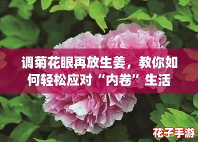 调菊花眼再放生姜，教你如何轻松应对“内卷”生活