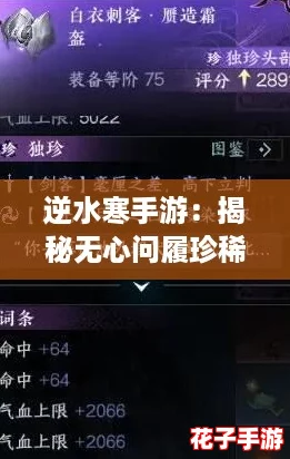 逆水寒手游：揭秘无心问履珍稀道具获取全攻略