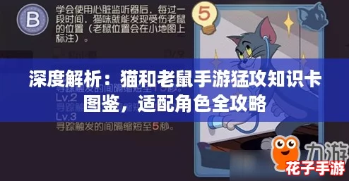 深度解析：猫和老鼠手游猛攻知识卡图鉴，适配角色全攻略