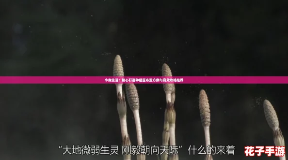 小森生活：精心打造种植区布置方案与高效攻略推荐