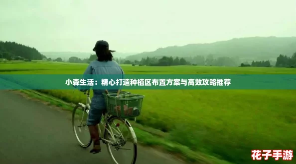 小森生活：精心打造种植区布置方案与高效攻略推荐
