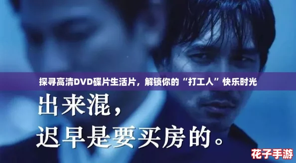探寻高清DVD碟片生活片，解锁你的“打工人”快乐时光